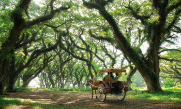 Open Trip Banyuwangi